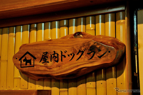 屋内ドッグラン（鬼怒川 絆）