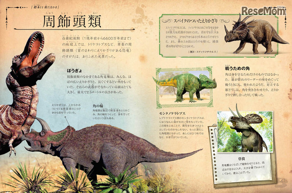 「恐竜の骨」中面イメージ
