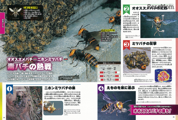実際に起こりうる生き物の戦いをシミュレーションしながら解説。生き物がもつ危険な武器や思いもよらないかしこい戦い方がわかる