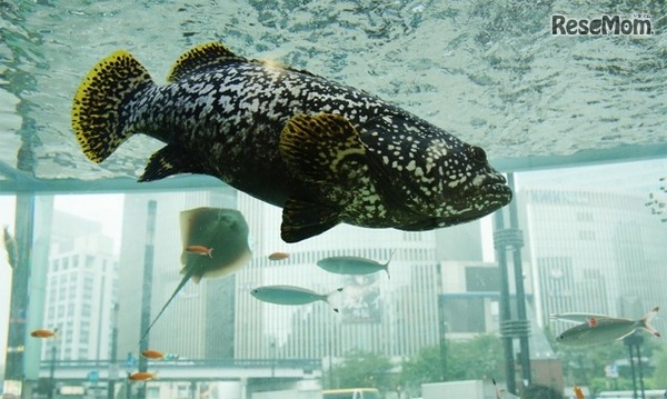 過去に実施した際のようす