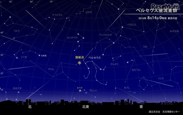 ペルセウス座流星群2016年8月14日0時頃の東京の空のシミュレーション　(c) 国立天文台天文情報センター