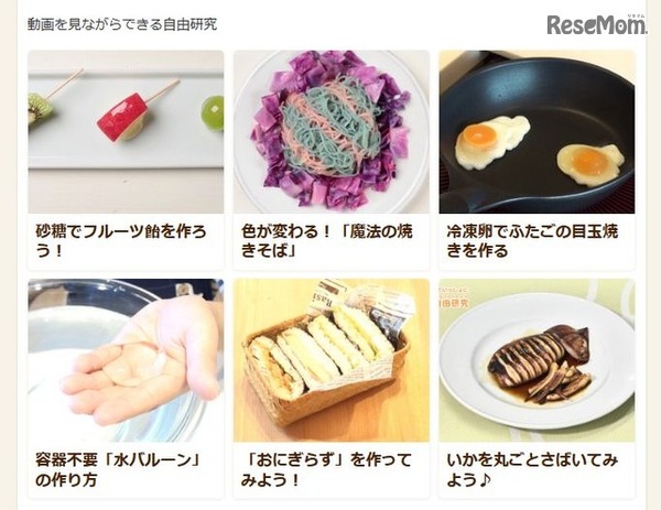 身近な食材で科学現象を体感できる自由研究が盛りだくさん