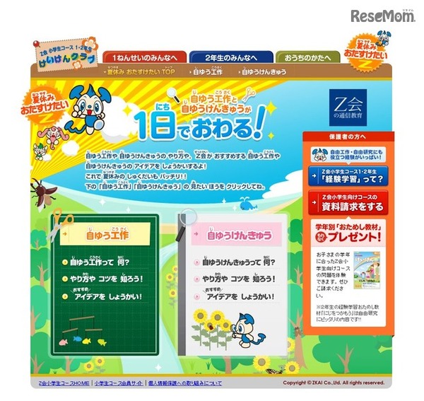 Z会小学生コース「夏休みおたすけたい」
