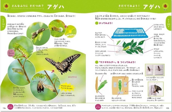 「頭のいい子を育てる しぜんとかがくのはっけん！366」