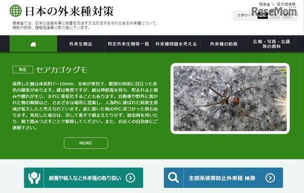 日本の外来種対策