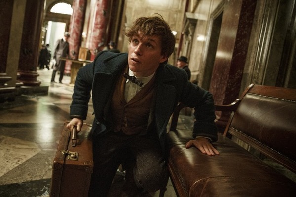 『ファンタスティック・ビーストと魔法使いの旅』（C）2015 WARNER BROS ENTERTAINMENT INC. ALL RIGHTS RESERVED
