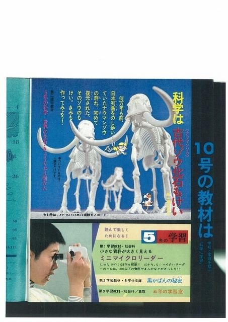 科学のふろく