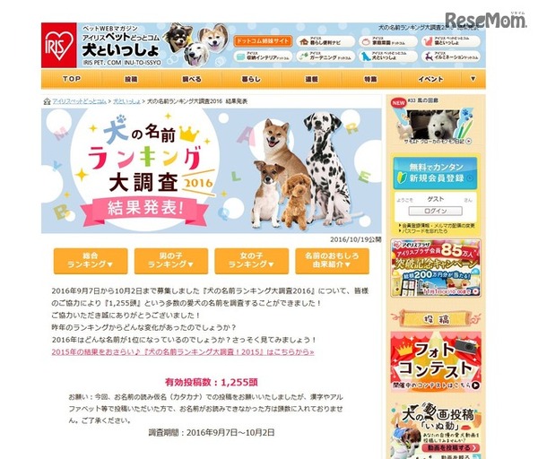 犬の名前ランキング