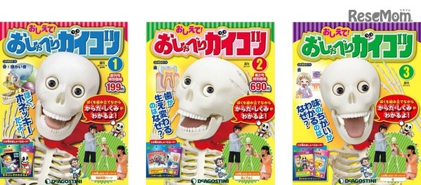 おしえて！おしゃべりガイコツ