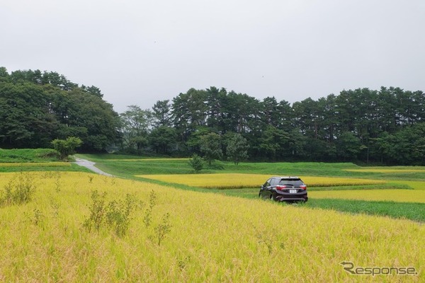 八ヶ岳の裾野の田園地帯を走る。