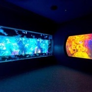 6Ｆ 「クラゲ」展示ゾーン