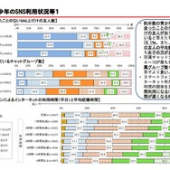 青少年のSNS利用状況