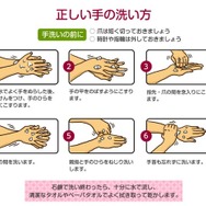 正しい手の洗い方