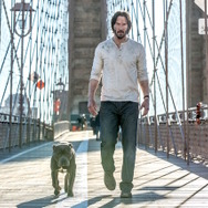 『ジョン・ウィック：チャプター2』(仮題)　（C）2017 Summit Entertainment, LLC. All Rights Reserved.