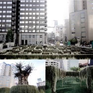 2015年春に開催された「迷宮植物園」