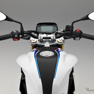 BMW G310R