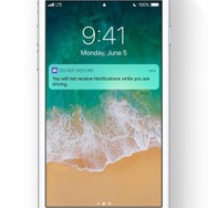 Apple「iOS 11」の「Do Not Disturb While Driving」モード