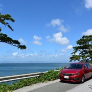 愛知・渥美半島の海岸にて。