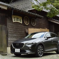 一見、かなりのこってり系デザインだが、日本家屋と並べてみると思いのほか調和性が高く、欧州デザインとは違いがあることが実感される。
