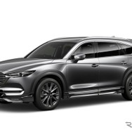Styling Effect CX-8