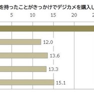 バランスパパの傾向
