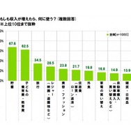 収入が増えたら、何に使うか