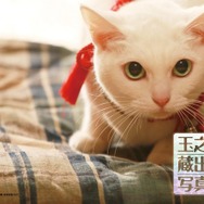 Blu-ray特典「玉之丞さま蔵出し写真集 其の壱　(C)2015「続・猫侍」製作委員会