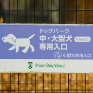 ドッグランは、小型犬用、中・大型犬用に分かれている