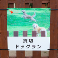 敷地内には小型犬、中・大型犬用に分かれた3面のドッグラン、3面の貸し切りドッグラン（計6面）がある