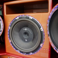 センター奥には同じくヴァイブのサブウーファーをインストール。十分な音圧を発生させるハイクオリティなユニットだ。