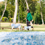 「じゃぶじゃぶ池」は、これからの季節はさすがに犬たちも飛び込むことをためらいそうだけど、記念写真を撮るにはうってつけの場所だ。