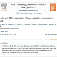 論文は「Flora」オンライン版に掲載されている（一部）