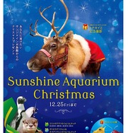 サンシャイン水族館