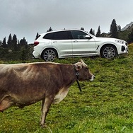 BMW X3 xDrive30e