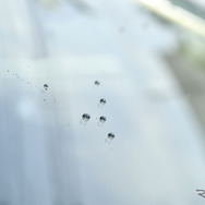 下地処理をしてからの撥水コーティング時に出来る水玉は非常に立体的で軽く吹けば飛んでいく