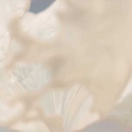 綾瀬はるか／「レノアオードリュクス パリ香るマリアージュ篇」