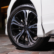 MODELLISTA Wing Dancer XIV（ブラック x ポリッシュ）【HARRIER AVANT EMOTIONAL STYLE / MODELLISTA】