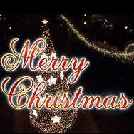 クリスマス映像