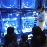 「すみだ水族館」水族館で飼育スタッフ体験　(c)TOKYO-SKYTREETOWN