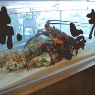 すみだ水族館。書といきものの融合展示「新春！もじもじ水槽」。