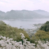 『桜ノ雨』（C） 2015 halyosy、藤田遼、雨宮ひとみ、スタジオ・ハードデラックス／PHP研究所／『桜ノ雨』製作委員会