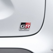 専用エンブレム（リヤ・ガソリン車）