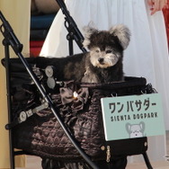 “ワンバサダー”の「ちょうじゅうろう」