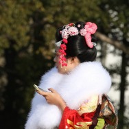 写真はイメージです
