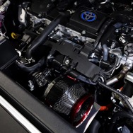 ノア/ヴォクシー (ZWR90W/ZWR95W)用 CARBON POWER装着写真