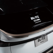 BLITZ ARIYA / Rear Spoiler