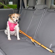 Honda Dogの「ペット車外飛び出し防止リード」
