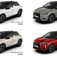DS 3 改良新型