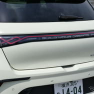 BYD ドルフィン