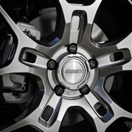 レイズ ボルクレーシングG025GC／22×9.0J IN36 265/30R22